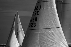 sailboat race Corpus Christi Tx